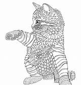 Katze Erwachsene Tiere Kleurplaten Volwassen антистресс раскраски красивые sketch template