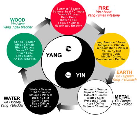 yin  chinese medical patterns  health illnesses ageless herbs