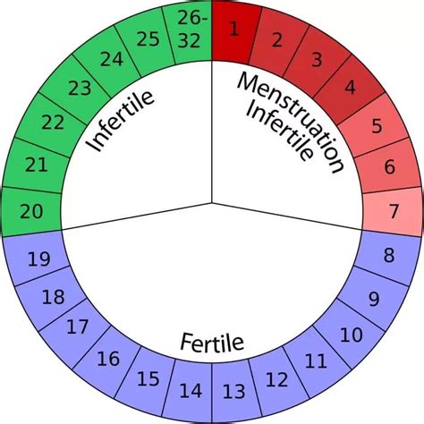 how to calculate menstrual cycle to avoid pregnancy legit ng