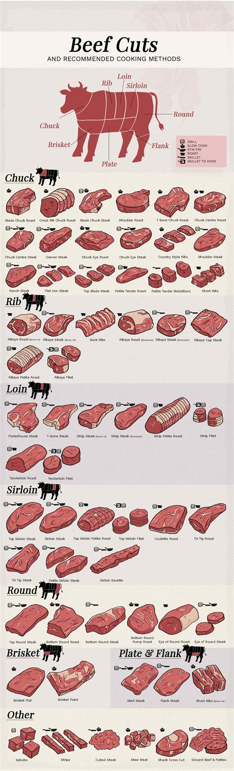 beef cuts loin rib sirloin guide   cuts  beef
