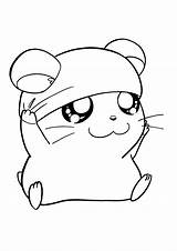 Hamster Coloring Pages Cute Kids sketch template