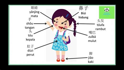 Belajar Bahasa Mandarin 我的身体 Wodeshenti Anggota Tubuh