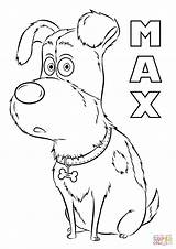Pets Coloring Secret Pages Life Max Color Kids Print Printable Characters Dogs Pet Sheets Animals Carrie Underwood Cats Children Dog sketch template
