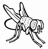 Disgusting Flies Coloringsky sketch template