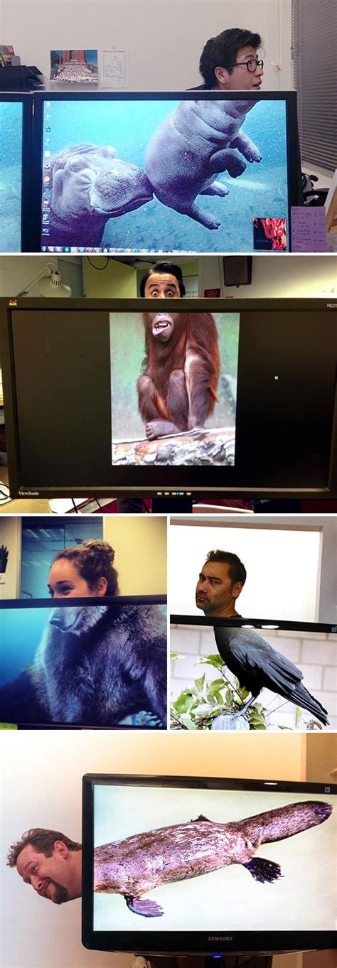 images that show what happens when people get bored at work