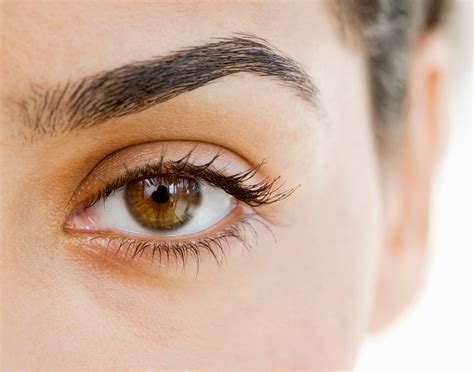 Eyelash And Brow Tinting Addlestone Therapy