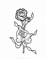 Carnation Coloring sketch template