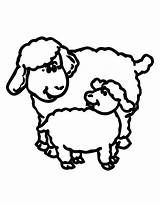Sheep Lamb Coloring Lion Pages Outline Drawing Clipart Color Realistic Clip Printable Getdrawings Cliparts Getcolorings March Print Clipartmag Library Popular sketch template