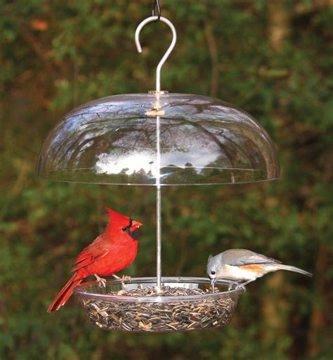 cardinal bird house plans google search garden bird feeders bird house feeder diy bird
