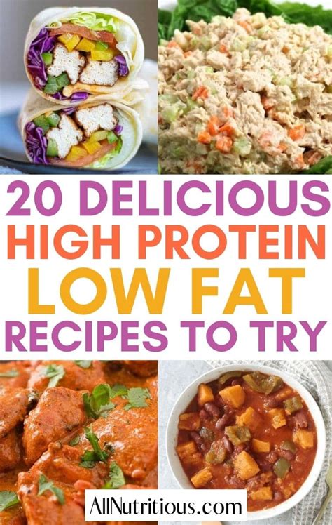 great high protein  fat recipes  nutritious