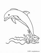 Dolphin Dauphin Delphin Delfine Delfin Hellokids Hors Drawing Ausmalbilder Ausmalen Drawings Delfines Saltando Drucken Colorier Jedessine Disegni Golfinho Coloriages Dolphins sketch template