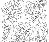 Tropical Leaf Drawing Coloring Pages Plants Rainforest Adult Flowers Getdrawings sketch template