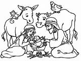Coloring Pages Manger Nativity Christmas Scene Azcoloring Printable Kids sketch template