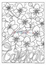 Cameroon Flower National Colouring Village Activity Explore sketch template