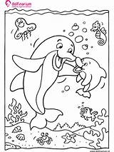 Dolfinarium Dolfijn Jong Coloriages Delphinarium Unterwasser Animaatjes Malvorlagen Bestelcode Categorie sketch template