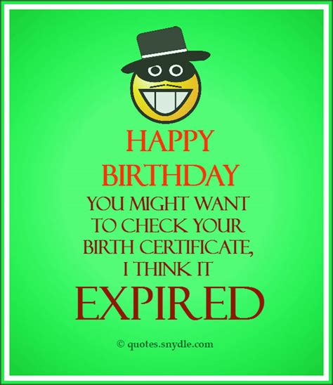 funny birthday quotes quotes  sayings