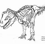 Dinosaur Skeleton Coloring Pages Printable Getdrawings Getcolorings sketch template