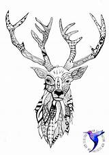 Deer Zentangle Coloring Adult Stag Pages Head Animals Doodle Tattoo Hirsch Hjort Silhouette Cerf Sketch Grey Face Hair Template Print sketch template