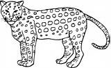 Cheetah Coloring Pages Color Kids Supercoloring Sheet Jaguar Animal Realistic sketch template