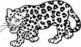 Leopardo Coloriage Panthere Jaguar Leopardos Imprimir Stampare Imágenes Leopards Leopardi Kleurplaten Disegnare Kleurplaat sketch template