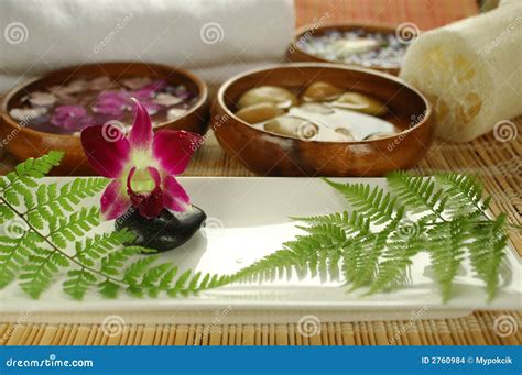purple orchid   spa stock photo image  care essential