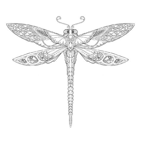 dragonfly coloring pages  adults coloring pages