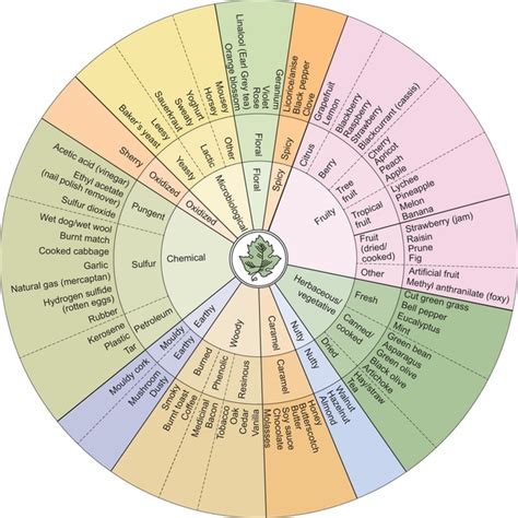 expanding your smell vocabulary via wine tasting bois de
