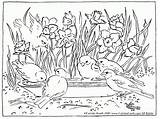 Coloring Pages Birds Bird Feeding Daffodils Activity Flower Sheets Farm Spring Adult Adults Nature Kids Drawing Detailed Landscape Gif sketch template