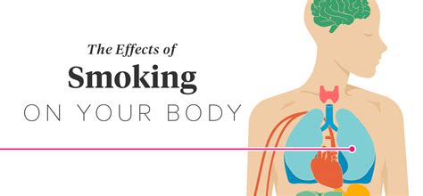 26 health effects of smoking on your body