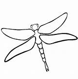 Dragonfly Coloring Pages Cute Insect Clipart Drawing Printable Animal Dragon Color Fly Kids October Print Animals Cartoon Drawings Cliparts Wings sketch template