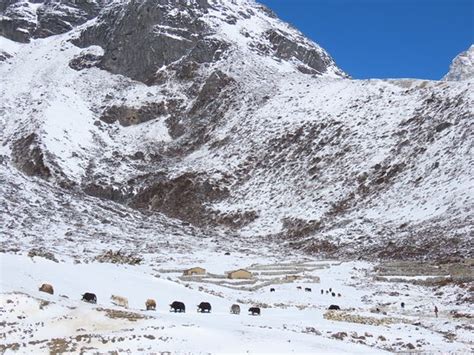 nepal explore summit trek pvt  kathmandu