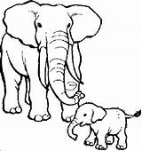 Elephant Coloring Pages Baby Animals Drawing African Kids Their Mother Babies Mom Cute Animal Draw Zoo Care Elephants Cartoon Printable sketch template