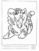 Coloring Pages Liger Getcolorings Tiger Cute sketch template