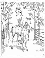 Kleurplaat Paard Paarden Kleurplaten Pferde Doe Moeilijk Printen Cavalo Veulen Partomorat sketch template