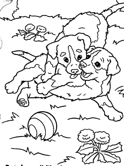 cute puppies coloring page  printable coloring pages  kids