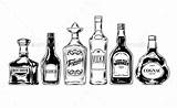 Liquor Alkohol Bourbon Alcoholic Vodka Plakaty Vectorified Graphicriver Botella Redro Alkoholu Butelek Wektor Zestaw Vectors sketch template