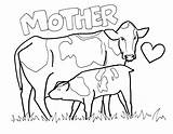 Coloring Pages Cow Printable Print Calf Para Colorir Mother Vacas Mothers Desenhos Clipart Kids Color Library Getcolorings Christmas Popular Mom sketch template