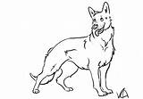 Shepherd German Coloring Pages Dog Drawing Line Print Kids Shepard Drawings Puppy Color Printable Shepherds Sheets Dogs Animal Puppies Animals sketch template