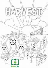 Harvest Colouring Activity Sheets Booklife sketch template