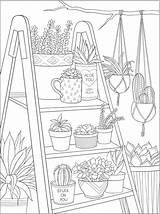 Aesthetic Succulents Welcome Succulent Dover Publications Colour Houseplant Dealer sketch template