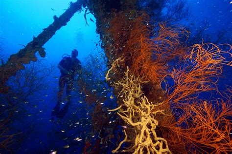 wreck diving  coron island palawan  stunning scuba highlights