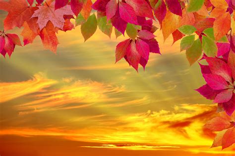 autumn sunset ~ beautiful~autumn~days ~ pinterest sunset