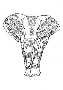 coloring pages  adults elephant