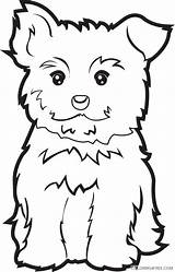 Puppy Yorkie Clipart Outline Coloring Pages Printable Animals Yorkshire Pets Coloring4free Cliparts Clip Dog Yorkies Dogs Library Related Posts Clipground sketch template