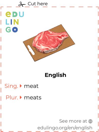 meat  english writing  pronunciation  pictures