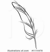 Feather Quill Clipart Illustration Royalty Lal Perera Rf sketch template