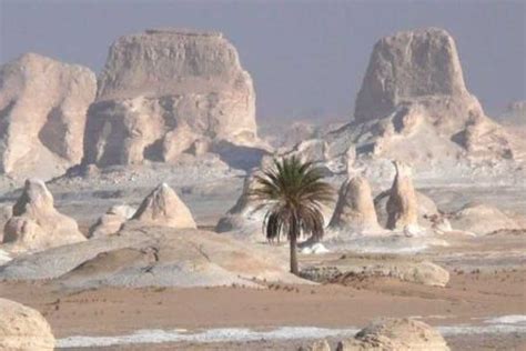 daagse rondreis egypte cairo en de witte woestijn travel  egypt egypt holiday packages