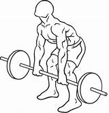 Deadlift Fitness Bent Over Physical Barbell Exercise Back Drawing Exercises Row Workout Icon Rowing Lifting Weight Form People Deadlifts Training sketch template