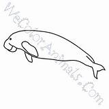 Dugong Coloring Pages Click sketch template