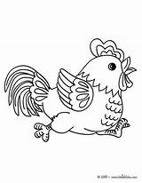 Gallo Poule Hahn Pollito Hellokids Rooster Granja Yodibujo Negro Couve Drucken Bauernhoftiere Calcar Colorier Redwork sketch template